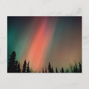 Aurora Borealis, Northern Lights, Alaska Postcard