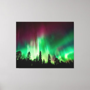 aurora borealis northern lights canvas print