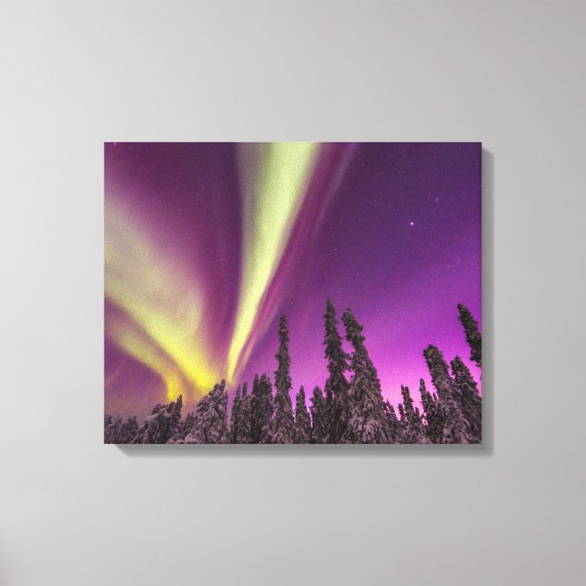 Aurora Borealis Northern Lights Fairbanks Alaska Canvas Print (Front)