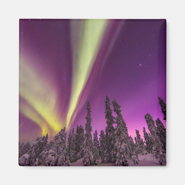 Aurora Borealis Northern Lights Fairbanks Alaska Magnet (Front)