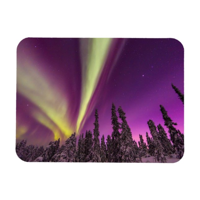 Aurora Borealis Northern Lights Fairbanks Alaska Magnet (Horizontal)