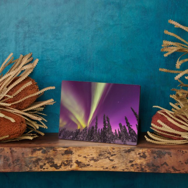 Aurora Borealis Northern Lights Fairbanks Alaska Plaque (Side)