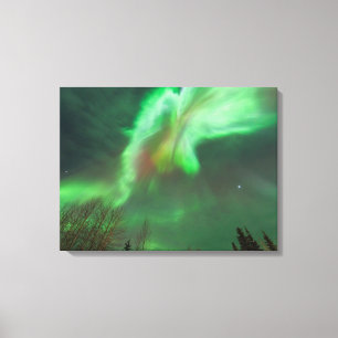 Aurora Borealis Northern Lights   Fairbanks Canvas Print