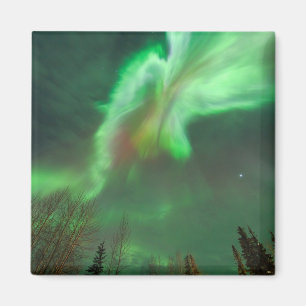 Aurora Borealis Northern Lights   Fairbanks Magnet