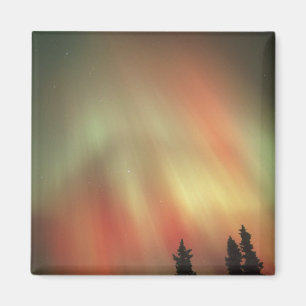Aurora Borealis, Northern Lights, Fairbanks Magnet
