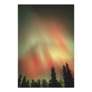 Aurora Borealis, Northern Lights, Fairbanks Photo Print