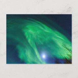 Aurora Borealis Northern Lights Fairbanks Postcard