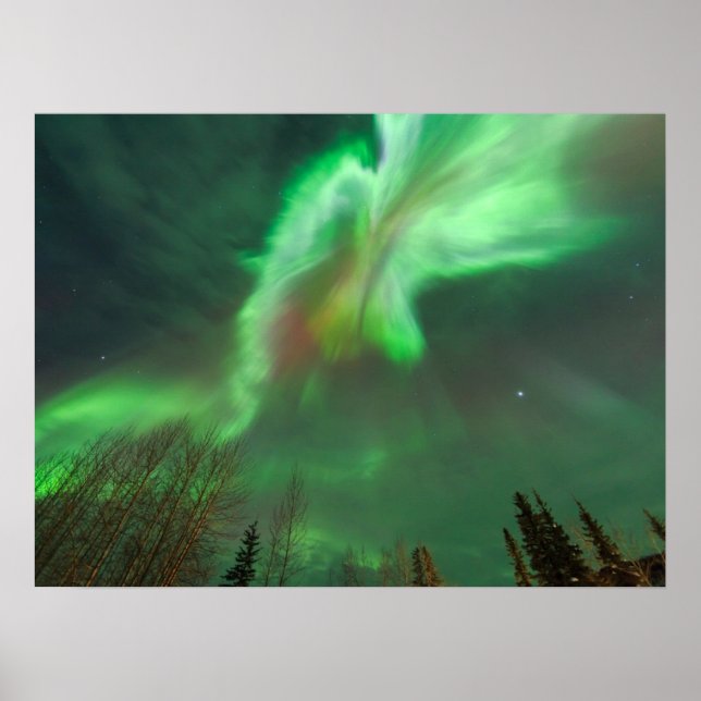Aurora Borealis Northern Lights | Fairbanks Poster (Front)