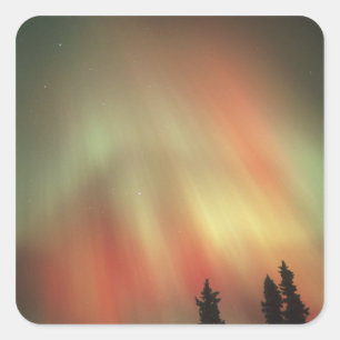 Aurora Borealis, Northern Lights, Fairbanks Square Sticker