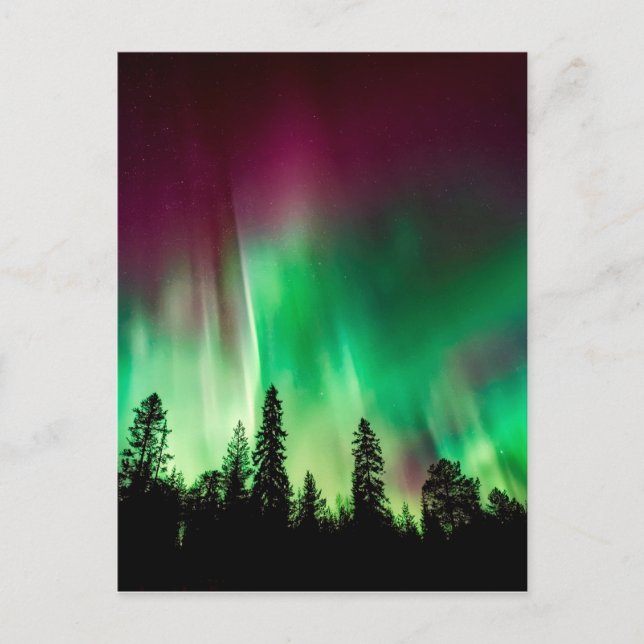 Aurora borealis northern lights postcard (Front)