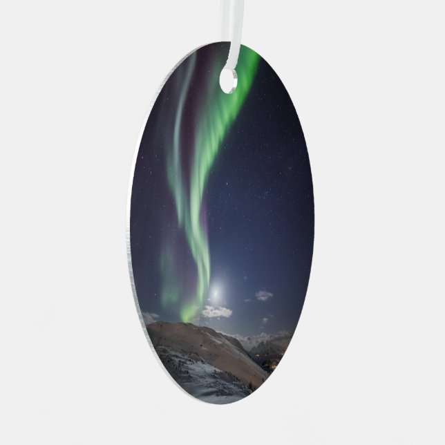 Aurora Borealis Norway Metal Tree Decoration (Front Right)