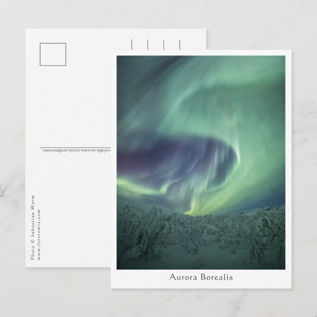 Aurora Borealis Norway Postcard (Front/Back)