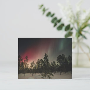 Aurora Borealis Over Snowy Forest Postcard