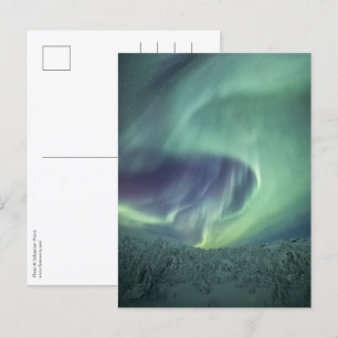 Aurora Borealis Postcard