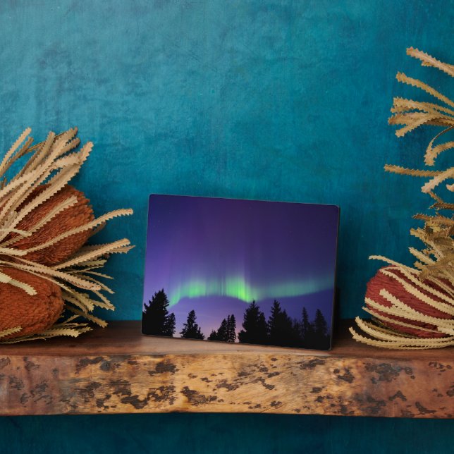 Aurora Borealis & Trees | Manitoba, Canada Plaque (Side)