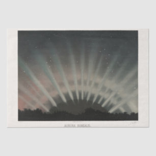 Aurora Borealis Trouvelot 1881, Restored Decoupage Tissue Paper