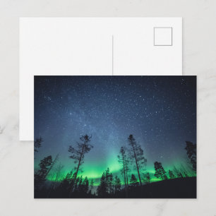 Aurora Forest Postcard