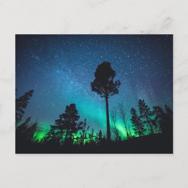 Aurora Forest Postcard (Front)