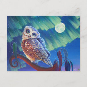 Aurora Owl Postcard