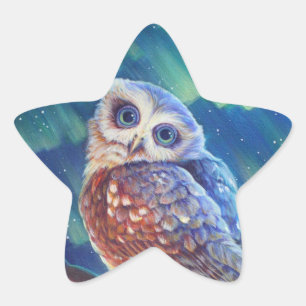 Aurora Owl Star Sticker