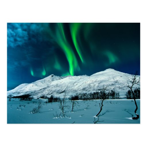 Image of Aurora Postcard