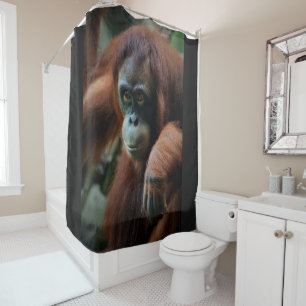 Aurora Shower Curtain