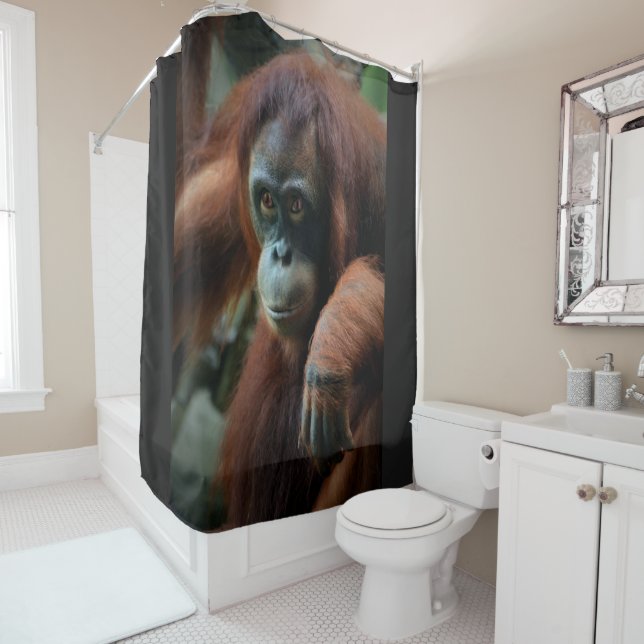 Aurora Shower Curtain (In Situ)