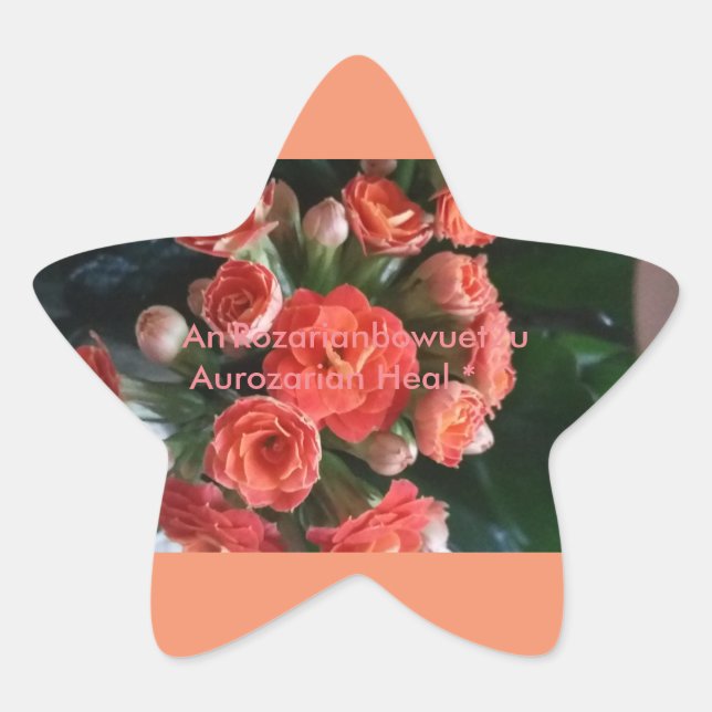Aurozarian Heal * ^ Star Sticker (Front)