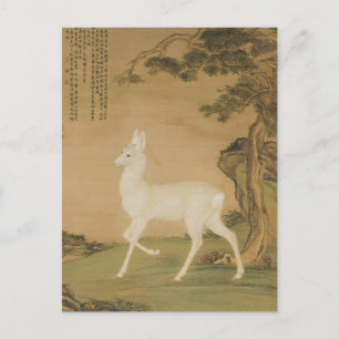 Auspicious Roe Deer Fine Art Postcard
