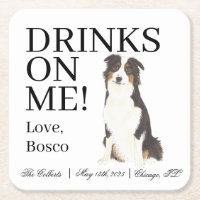 Aussie Australian Shepherd Wedding