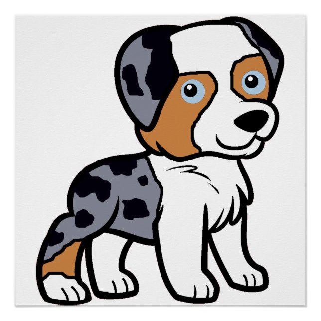 aussie blue merle cartoon poster (Front)