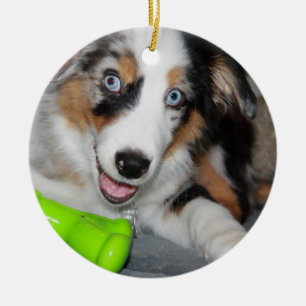 aussie blue merle puppy.png ceramic tree decoration