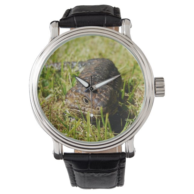 Aussie Blue Tongue Lizard, Watch (Front)