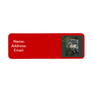 Aussie Christmas Koala with Candy Cane