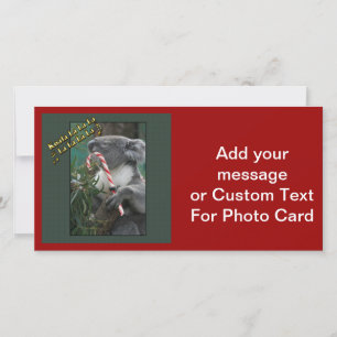 Aussie Christmas Koala with Candy Cane Holiday Card