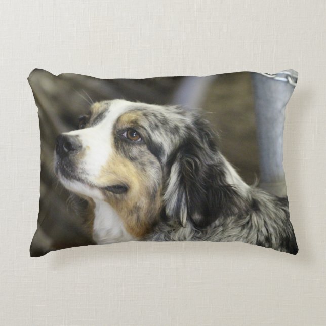 Aussie  decorative cushion (Front)