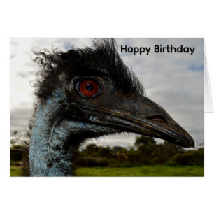 Aussie Emu Attraction,Birthday Card