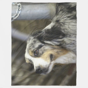 Aussie fleece blanket
