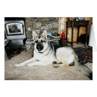 Aussie Full View/Fireplace