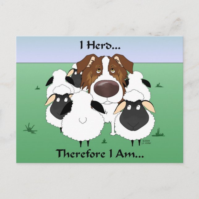 Aussie - I Herd Therefore I Am Postcard (Front)