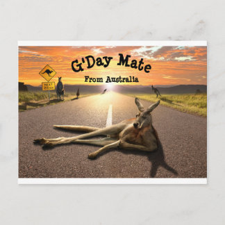 Aussie Kangaroo Postcard