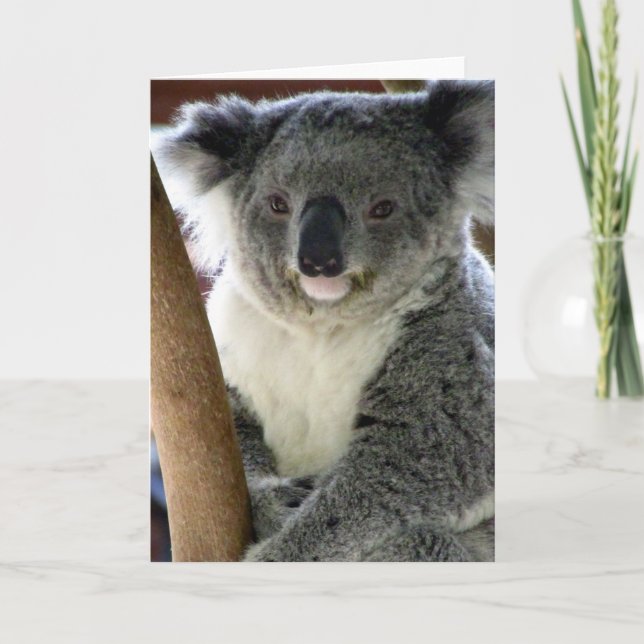 aussie koala card (Front)