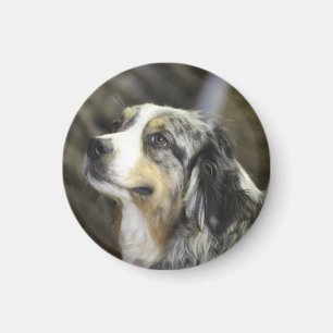 Aussie magnet