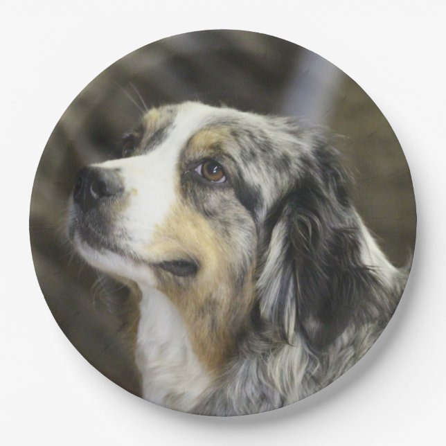 Aussie  paper plate (Front)