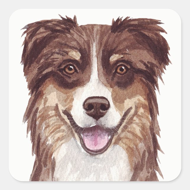  Aussie Puppy Dog Watercolor Australian Shepherd   Square Sticker (Front)