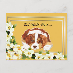 Aussie Red Tri Puppy Get Well Postcard