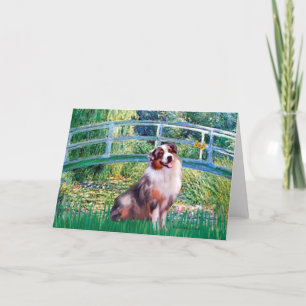 Aussie Shep 1 - Bridge Card