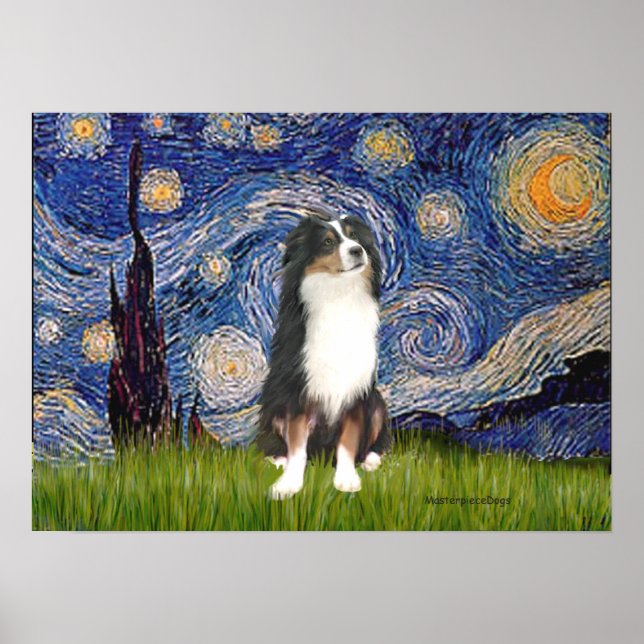 Aussie Shep (Tri2) - Starry Night Poster (Front)