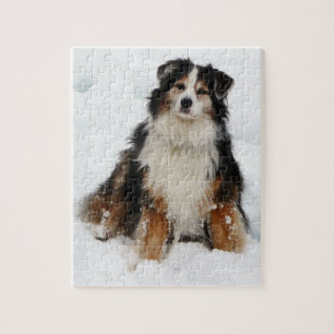 Aussie Shepherd Dog in Snow Jigsaw Puzzle
