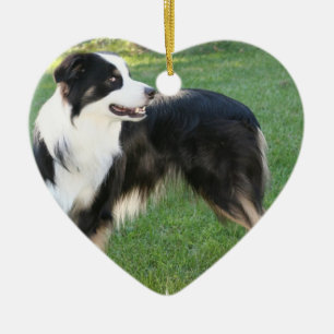 Aussie Shepherd  Ornament